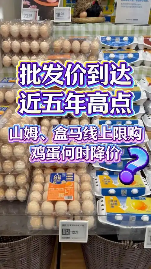 体育消费“吞金兽”来袭？网球、F1、UFC门票价格创五年新高